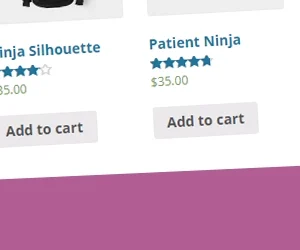 WPC Fly Cart for WooCommerce Premium